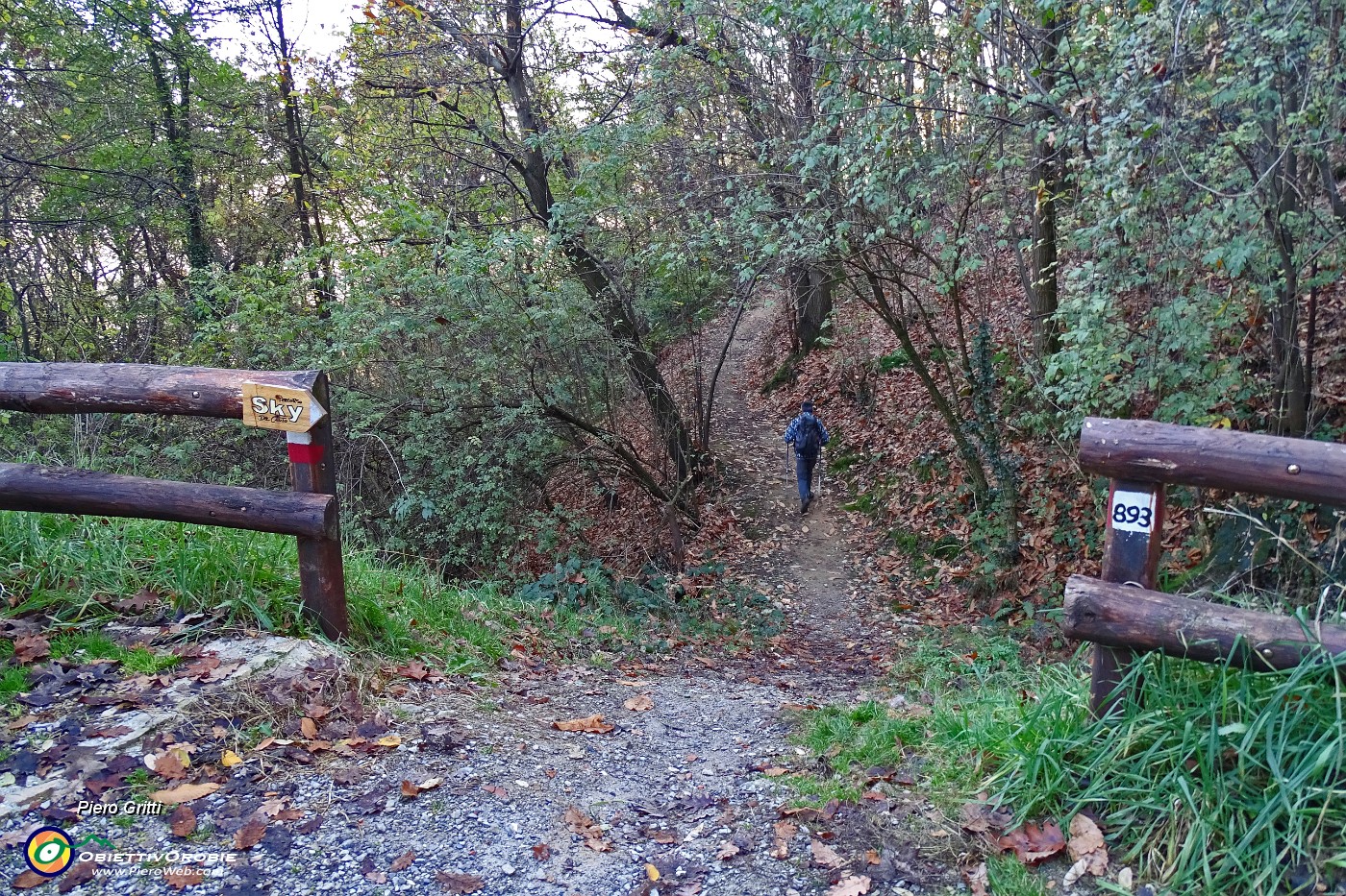 83 Rientriamo a Sotto il Monte per il sent. 893.JPG -                                